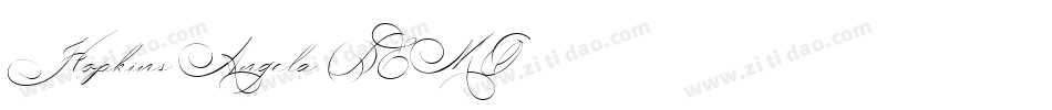 Hopkins Angela DEMO字体转换